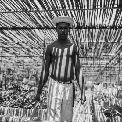 Funcionário do Sítio Burle Marx