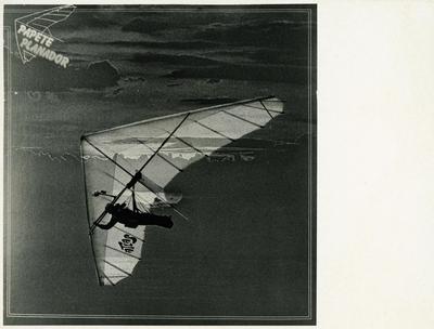 Papete (capa de disco)