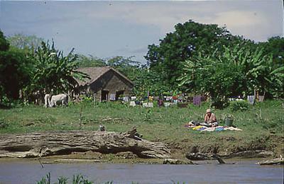 Série Amazonas - Propriedade rural