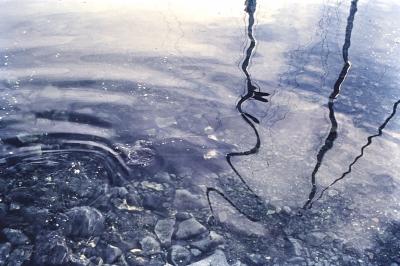 Aventuras de Igor na Antártida