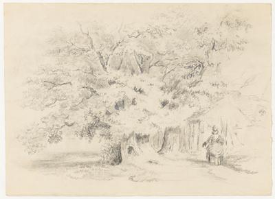 [Grupo de árvores, com casa e camponesa à direita]