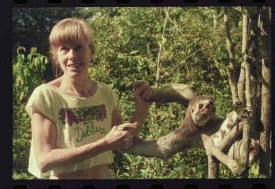 Heidi e as preguiças