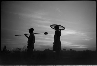 De manhã, indo colher café