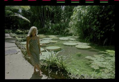 Márcia Neves Bodanzky