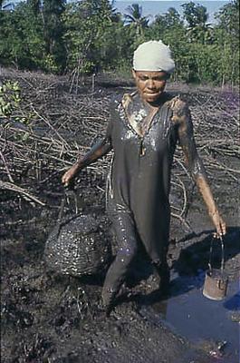 Série Caranguejeiras - Catadora de caranguejo