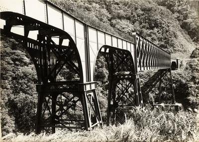 Ponte São João vista de flanco