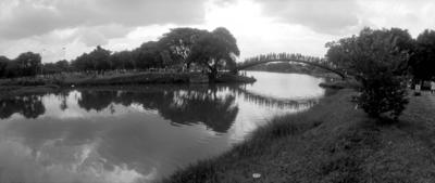 Lago e ponte no parque Ibirapuera