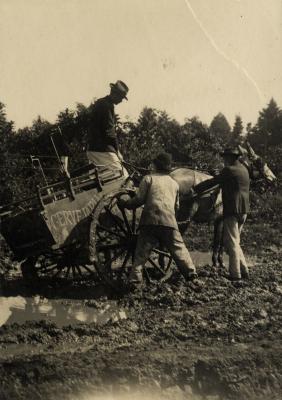 Carroça de cervejaria atolada na lama