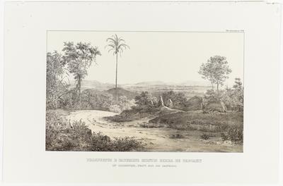 (Vista do cimo do monte na Serra de Itaguaí, em direção ao Oriente, Província do Rio de Janeiro)