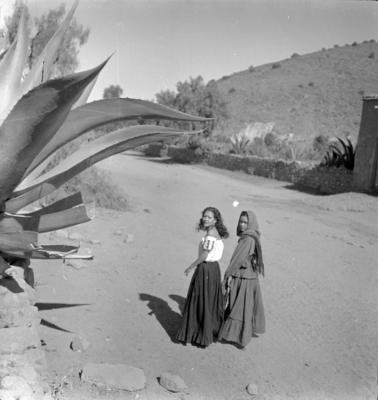 Mulheres à sombra dos magueys