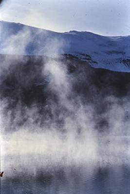 Aventuras de Igor na Antártida