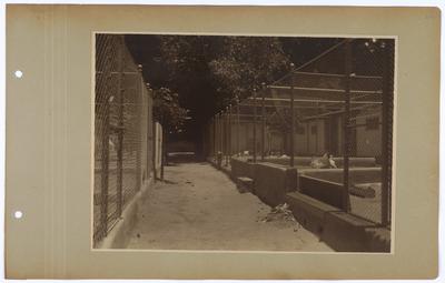 Projeto arquitetônico do escritório Freire & Sodré Engenheiros