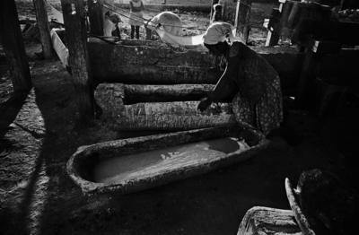 Série Guimarães Rosa - Extração de polvilho da mandioca