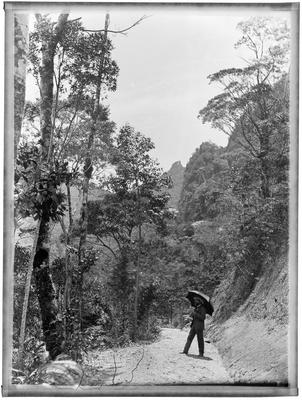 Marc Ferrez de guarda-chuva