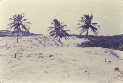 Praia próxima ao Quilombo de Sibaúma