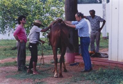 Pessoas em volta de cavalo, de camisa azul e calça jeans, Kim Esteve