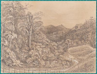Turn of the Road - Presidencia Petropolis 20th Janº 1855