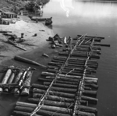 Tucuruí, Rio Tocantins