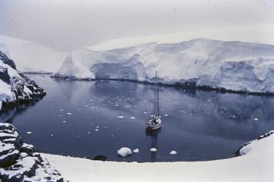 Aventuras de Igor na Antártida