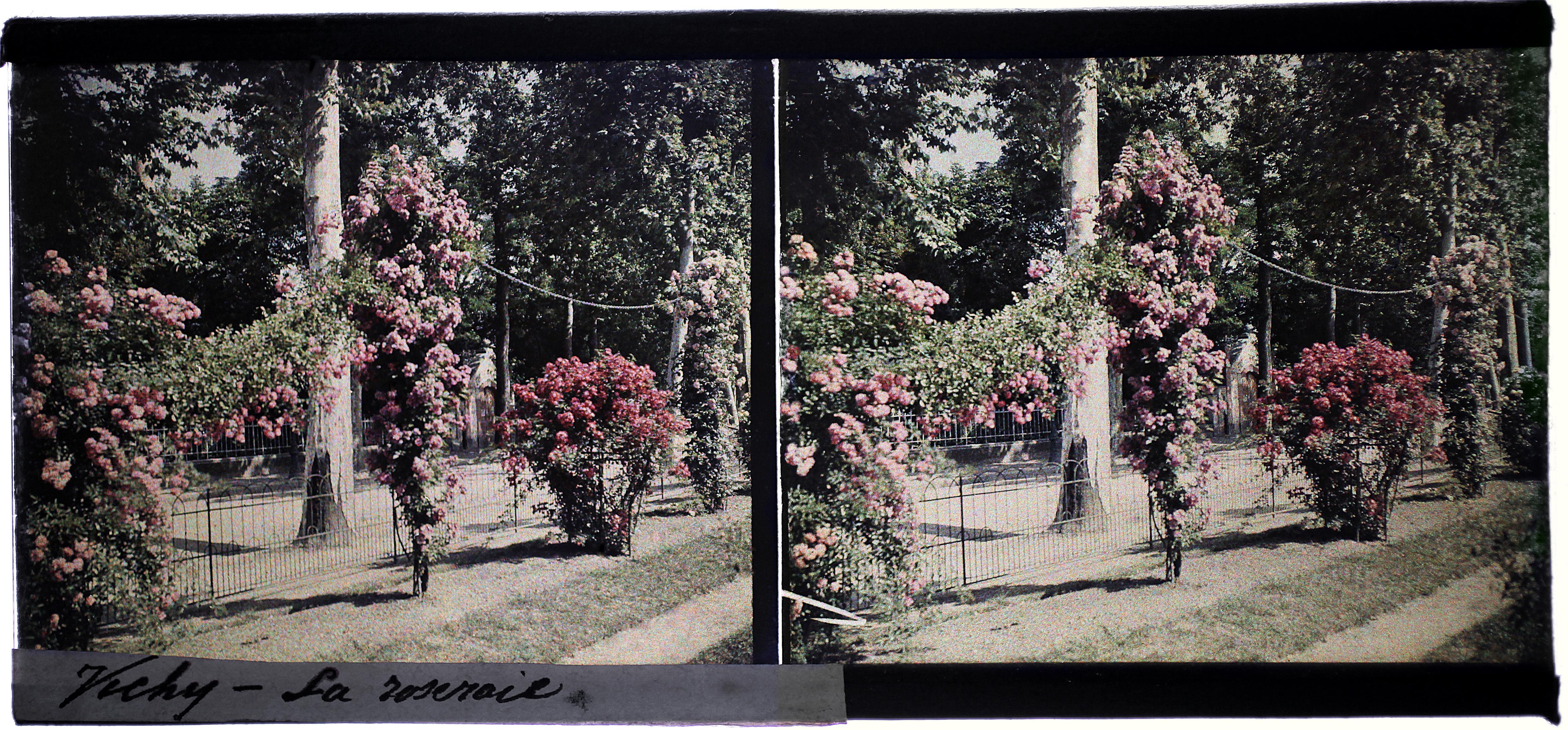 Vichy - O jardim de rosas