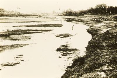 Proximidades do Engenho Itapuá