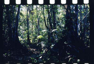 Projeto "Navegar Amazônia"