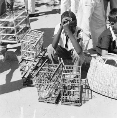 Feira dos Passarinhos