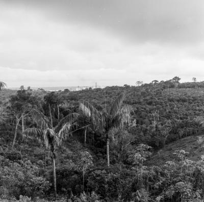 Refinaria da Petrobras
