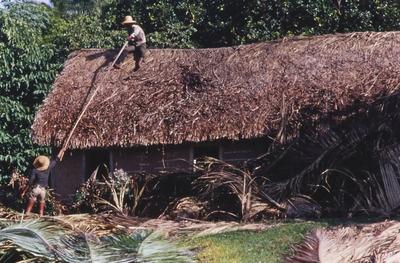 Casa com telhado de palha