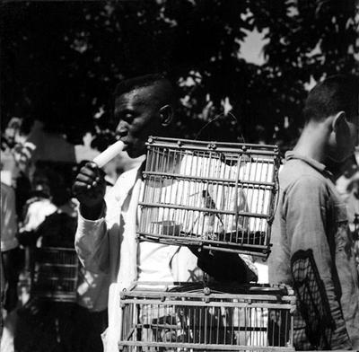 Feira dos Passarinhos