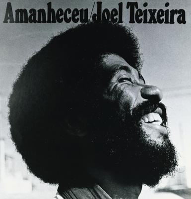 Joel Teixeira (capa de disco)