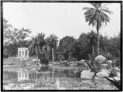A lagoa do Jardim Botânico