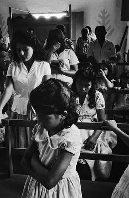 Família de Picinguaba #04