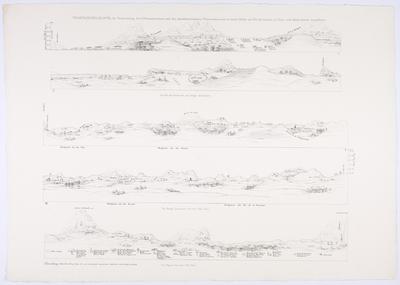 (Atlas da vegetação)