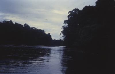 Expedição Pico da Neblina