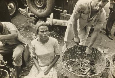 Venda de carangueijos