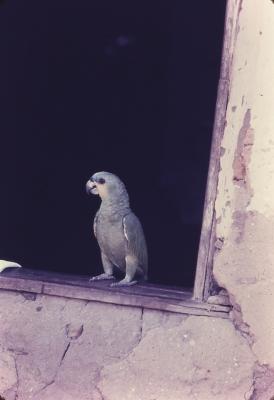 Vila de pescadores no litoral sul, próximo ao Quilombo de Sibaúma