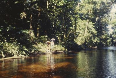 Expedição Pico da Neblina