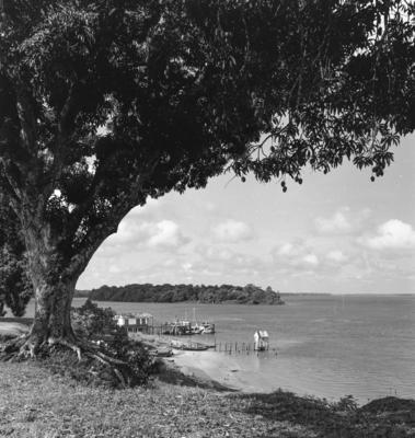 Série "Estrada de Ferro Tocantins"