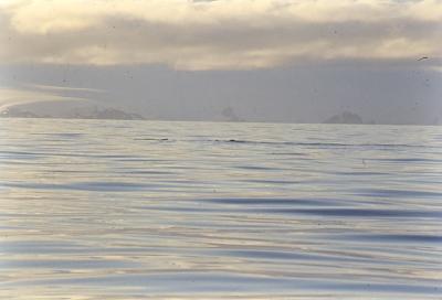 Aventuras de Igor na Antártida