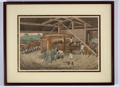 Moenda de açúcar movida por bois