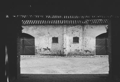 Em busca de fazendas para locacações do filme Os Herdeiros, de Cacá Diegues