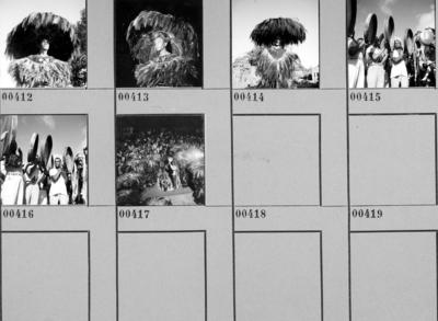 Bumba meu boi, festa popular