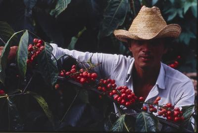 Trabalhador agrícola