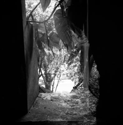 Jardim do Parque Lage, destaque para gruta