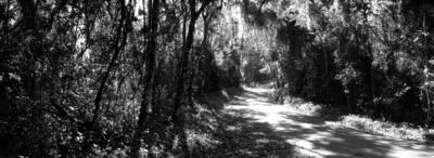 Parque da Cantareira