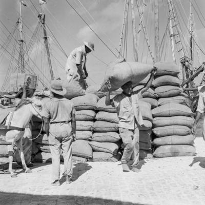 São Luís, movimento no porto