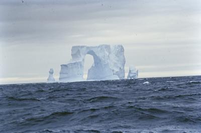 Aventuras de Igor na Antártida