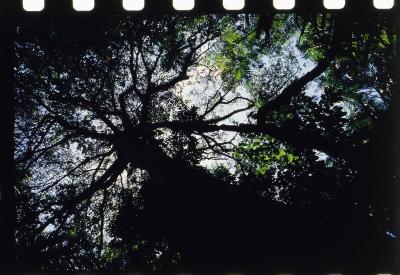 Projeto "Navegar Amazônia"