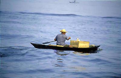 Série Amazonas - Embarcação